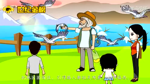 六年級(jí)語(yǔ)文上冊(cè)21 老人與海鷗