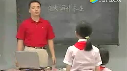 蘇教版五年級語文上冊13 在大海中永生