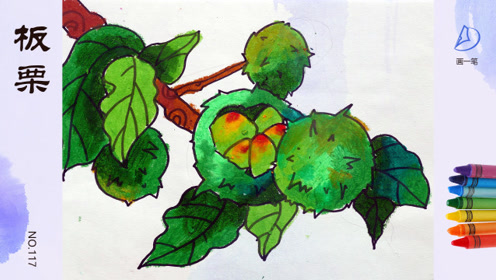 蜡笔画:画画识花卉,神圣之花,睡莲