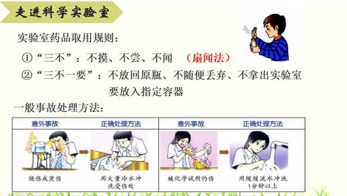 浙教版七年级科学上册