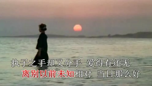 刘小慧简谱_刘小慧性感图片(2)