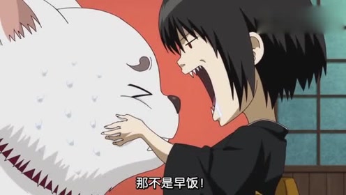 银魂万事屋 腾讯视频