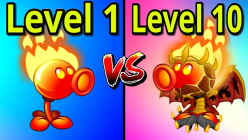 植物大战僵尸2:火豌豆射手1级vs 火豌豆射手10级