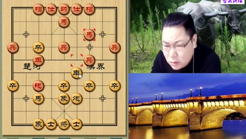 老雷象棋直播