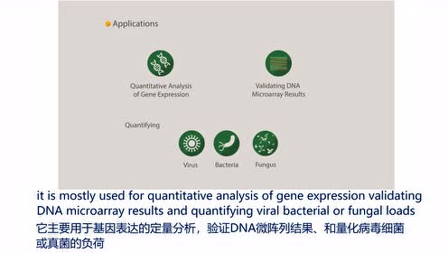 陈巍翻译实时荧光定量pcr 腾讯视频