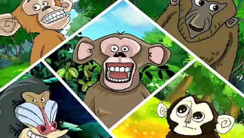 外研版七年級英語上冊Module 6 A trip to the zoo