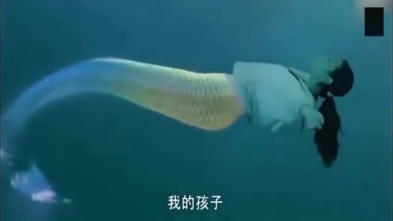 梦境解析，女人梦见养了好多鱼——大鱼小鱼的奥秘