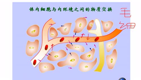 蘇教版高中生物必修三第一章 生物科學(xué)和我們