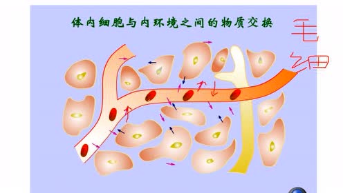 苏教版高中生物必修三第一章 生物科学和我们