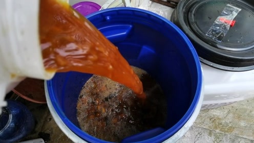 自制环保酵素省钱有妙招 浇花浇菜都用它 以后不用买肥料 腾讯视频