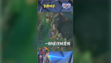 LOL小智：一顿操作被秀死，赶紧甩锅给观众