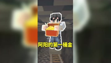 阿阳我的世界：精准采集获取太容易！阿阳赚到第一桶金？