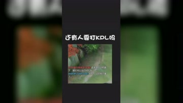 来自梦泪的肯定：KPL没你我不看！