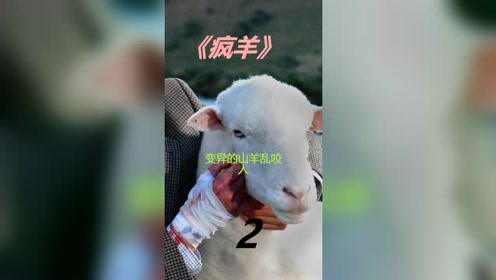 《疯羊》2，变异山羊不吃草开始吃人，只要被咬过的人都会重生山羊！