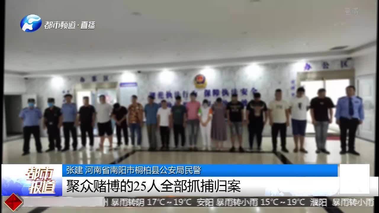 南阳桐柏:废弃民房聚众赌博,防疫工作抛脑后,25人落网