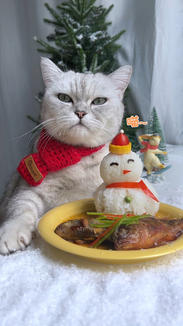 料理猫王的个人页
