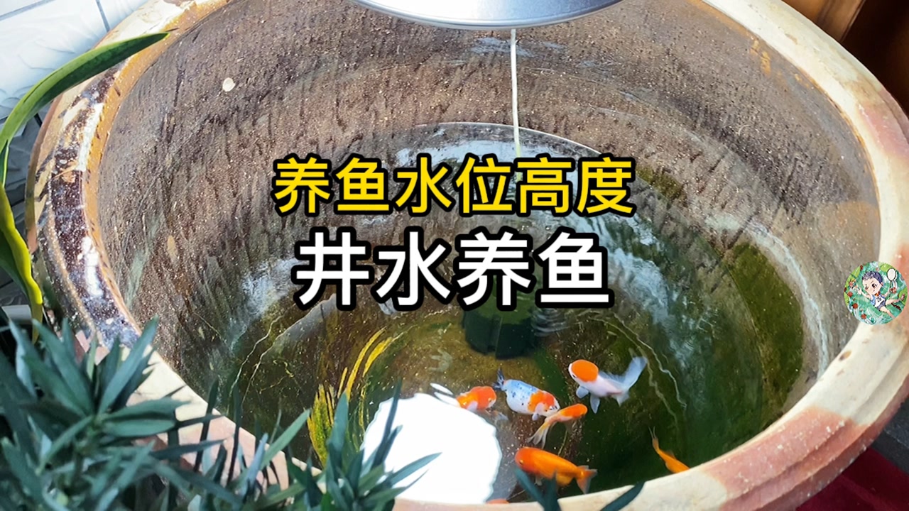 养鱼水位高度问题,井水和自来水能不能养鱼问题