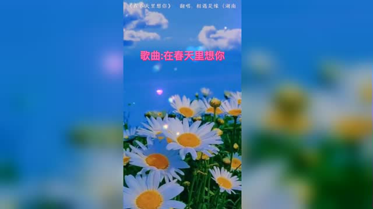 一首在春天里想你人美歌甜百听不厌真是走心