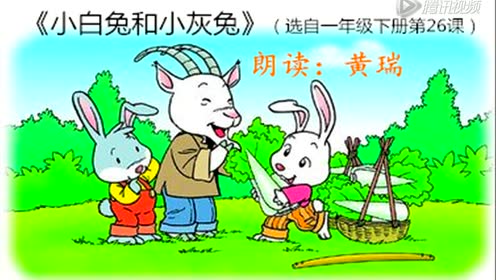 一年级语文下册26 小白兔和小灰兔