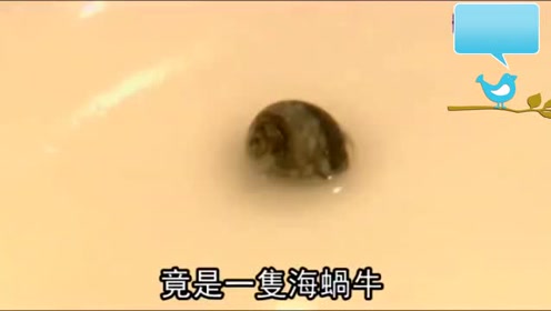宝宝身上捂太多 出生一天全身长满"脓包"