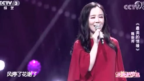 最美的情缘魏新雨简谱_最美的情缘魏新雨图片