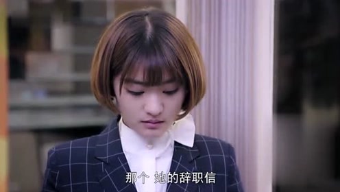 g氏董事长_董事长办公室图片