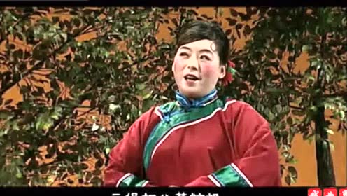 湖北崇阳县提琴戏《双合莲》庞勇 舒琴