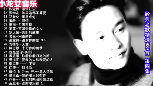 简谱小龙女_刘亦菲小龙女(3)