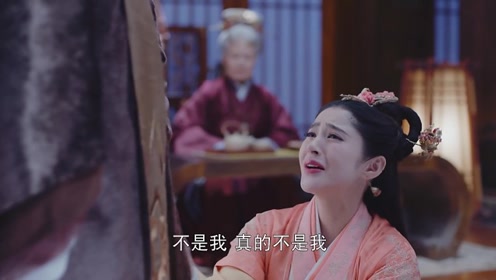 晓斐短剧，探索现代戏剧的魅力与力量