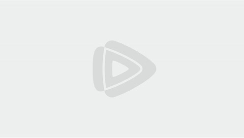 成语蚍蜉撼什么_成语故事图片(2)