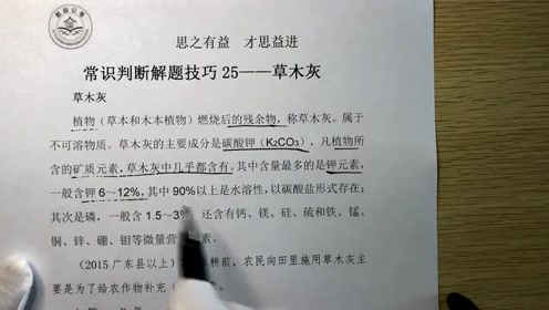 小思简谱_王李丹妮小思
