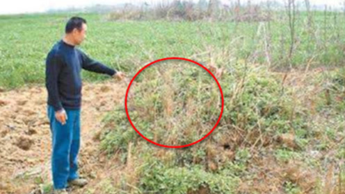 永远的圣斗士——恐怖伊万