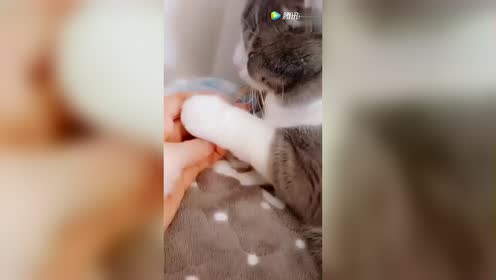 足控福利 腾讯视频