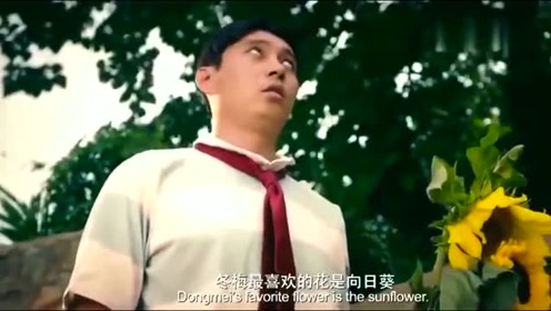 杨枫简谱_新相亲时代杨枫图片(3)