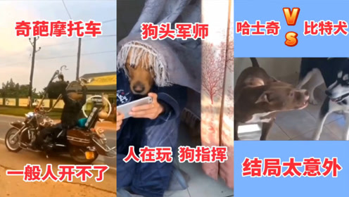 奇葩恶搞视频，奇葩恶搞视频合集