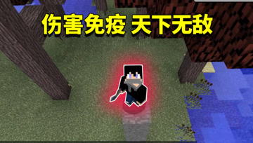 我的世界Mod：这饰品能让我免疫伤害？哪怕万箭穿心我也毫发无伤