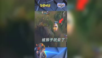 LOL小智：我被这猴子玩晕了，吐了