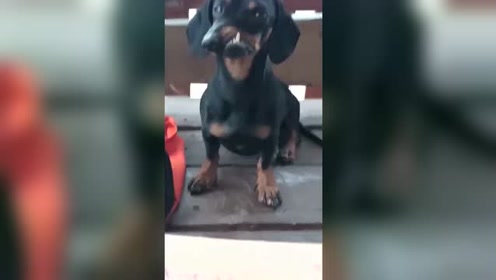 比中指 腾讯视频