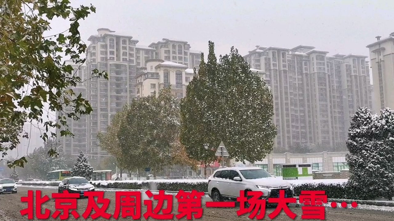 11月7日,立冬,北京普降今冬的第一场大雪,瑞雪兆丰年,太美了