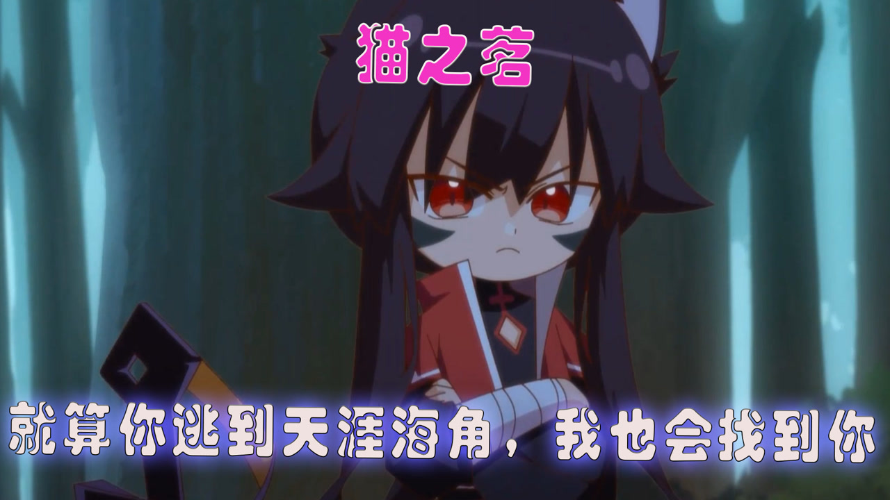 猫之茗:在路痴武夷岩的不懈努力下,终于找到了龙井