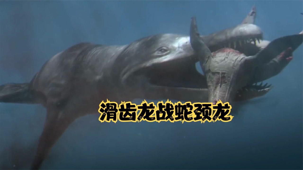史前巨兽滑齿龙捕猎蛇颈龙全过程