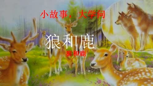 苏教版三年级语文下册18 狼和鹿