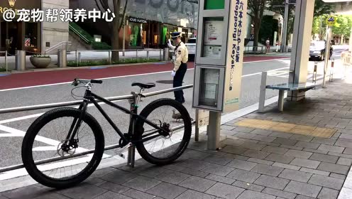 日本警察汽车 腾讯视频