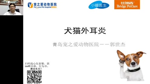 比瑞吉皮肤病专题 犬猫外耳炎 郭世杰老师 腾讯视频
