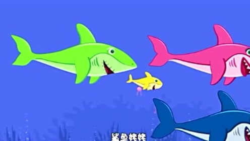 鲨鱼一家时 间:2020-05-22上传者:贝瓦网少 儿:贝瓦启蒙英文儿歌(动画