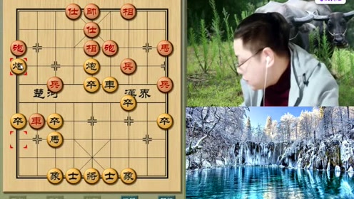 老雷象棋直播