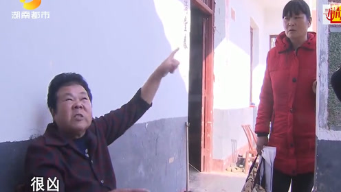 农村婆媳战争,每天吵架打架是常态,儿子就是个傀儡