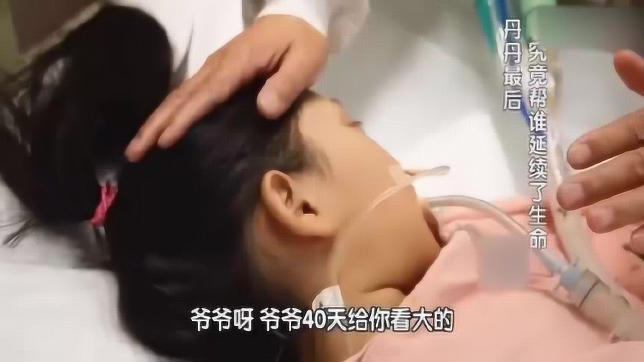 生命缘:7岁孙女脑死亡,爷爷:你在那边好好的等着,爷爷去找你!