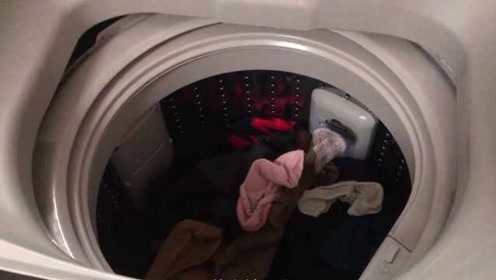 洗内衣内裤的洗衣机_合租洗衣机洗内裤打胶(2)
