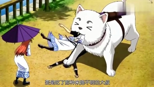 定春 腾讯视频